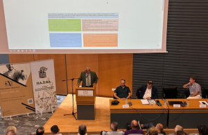 Ελαίας Καρπός