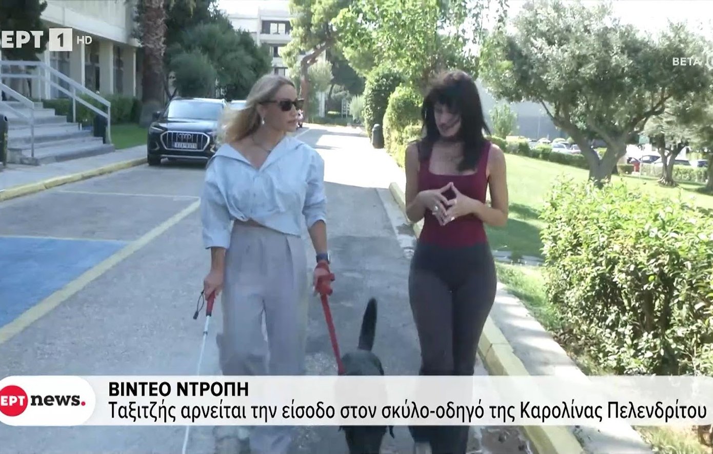 Σάλος με ταξιτζή που αρνήθηκε κούρσα σε Παραολυμπιονίκη, λόγω του σκύλου οδηγού της –  «Σε κάνουν να νιώθεις ότι δεν έχεις ισότιμη θέση στην κοινωνία»