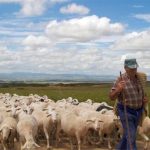 Ως 17 Οκτωβρίου αιτήσεις για πρόγραμμα κατάρτισης ανέργων στη διαχείριση ζωονόσων στη Θεσσαλονίκη από ΕΛΓΟ-ΔΗΜΗΤΡΑ και ΔΥΠΑ