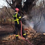 Σύλληψη άνδρα για διαδοχικούς εμπρησμούς στην Ξάνθη