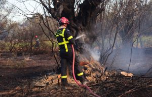 Σύλληψη άνδρα για διαδοχικούς εμπρησμούς στην Ξάνθη