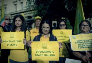 Αγροτικές Ειδήσεις: Coldiretti: Οι τιμές του σιταριού βγάζουν τους Ιταλούς αγρότες στους δρόμους