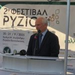 Οι τέσσερις άξονες πολιτικής για τη βιωσιμότητα του ρυζιού