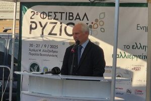 Οι τέσσερις άξονες πολιτικής για τη βιωσιμότητα του ρυζιού