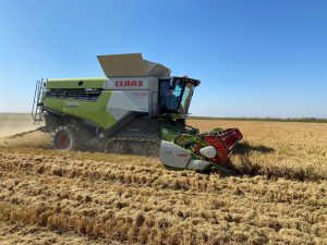 Μειωµένη σοδειά, αυξηµένα κόστη και φόβοι για την τιµή, μία πρώτη εικόνα για το ρύζι