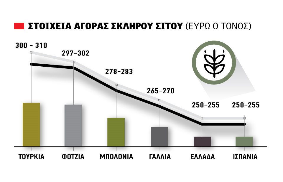 Ψηλά με 310 ως 330 ευρώ το σκληρό από Τουρκία - Ρωσία, Τετάρτη στίγμα από Φότζια