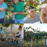Ολοκληρωμένη συμβουλευτική στην ακτινιδιά: Ο γεωπόνος «κλειδί» για υψηλές και βιώσιμες αποδόσεις