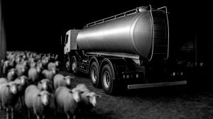 Η ευλογιά αιγοπροβάτων αλλάζει την αγορά στις τιμές γάλακτος