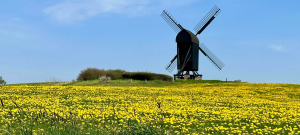 Πρόσβαση σε εργαλεία για ασφαλή και προσιτά τρόφιμα στα θέματα του άτυπου Γεωργίας στην Κοπεγχάγη, 7-9/9