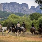Δράση κυνηγιού τρούφας με άλογα θα λάβει χώρα στα Μετέωρα
