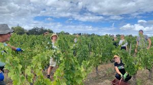 «Χωρίς δίκαιες τιμές, δεν υπάρχουν αμπελουργοί», λένε οι Ισπανοί που μετρούν απώλειες στον φετινό τρύγο - Winetrails