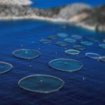 Ιχθυοκαλλιέργειες: Πληρωμές COVID-19 σε 72 επιχειρήσεις  ύψους 19,4 εκατ. ευρώ