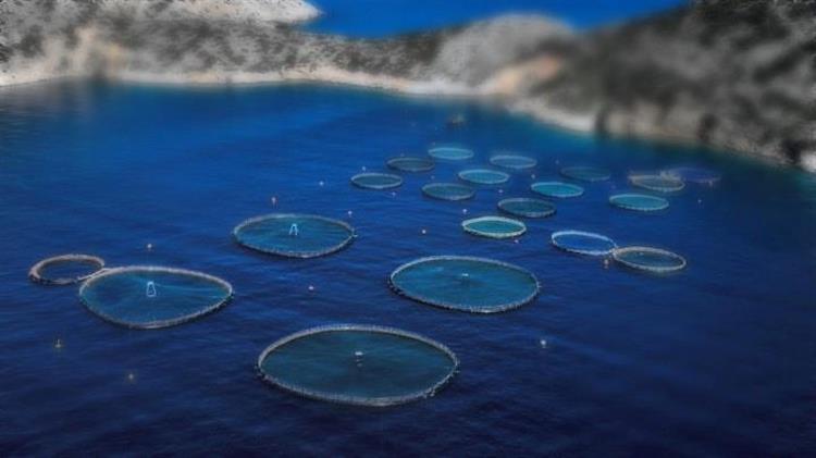 Ιχθυοκαλλιέργειες: Πληρωμές COVID-19 σε 72 επιχειρήσεις ύψους 19,4 εκατ. ευρώ