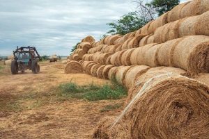 Ψηφιακά η τιμολόγηση σε συναλλαγές αγροτών με επιχειρήσεις-εμπόρους