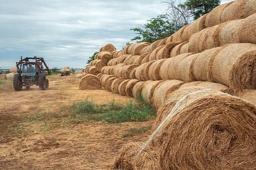 Ψηφιακά η τιμολόγηση σε συναλλαγές αγροτών με επιχειρήσεις-εμπόρους