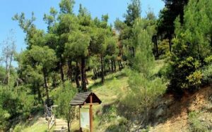 Ελεύθερος ο άντρας που έσφαξε και έγδαρε αρνί στο Σέιχ Σου για να τιμήσει το κουρμπάνι