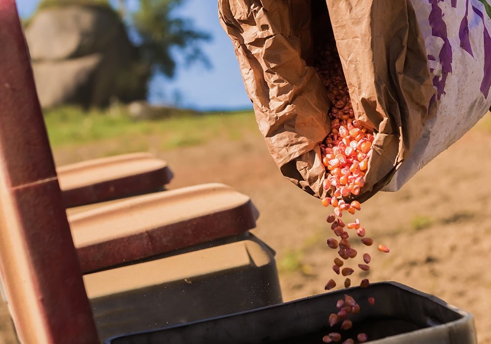 Φυτεύσεις ρεκόρ στη Βραζιλία σε καλαμπόκι, σόγια φέρνει η συρρίκνωση παραγωγής στις ΗΠΑ