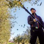 Παράταση ως 31 Μαρτίου για τις μετακλήσεις στους εργάτες γης