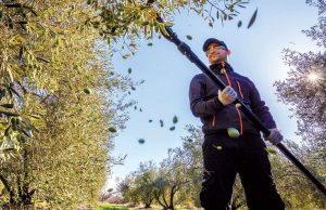 Παράταση ως 31 Μαρτίου για τις μετακλήσεις στους εργάτες γης