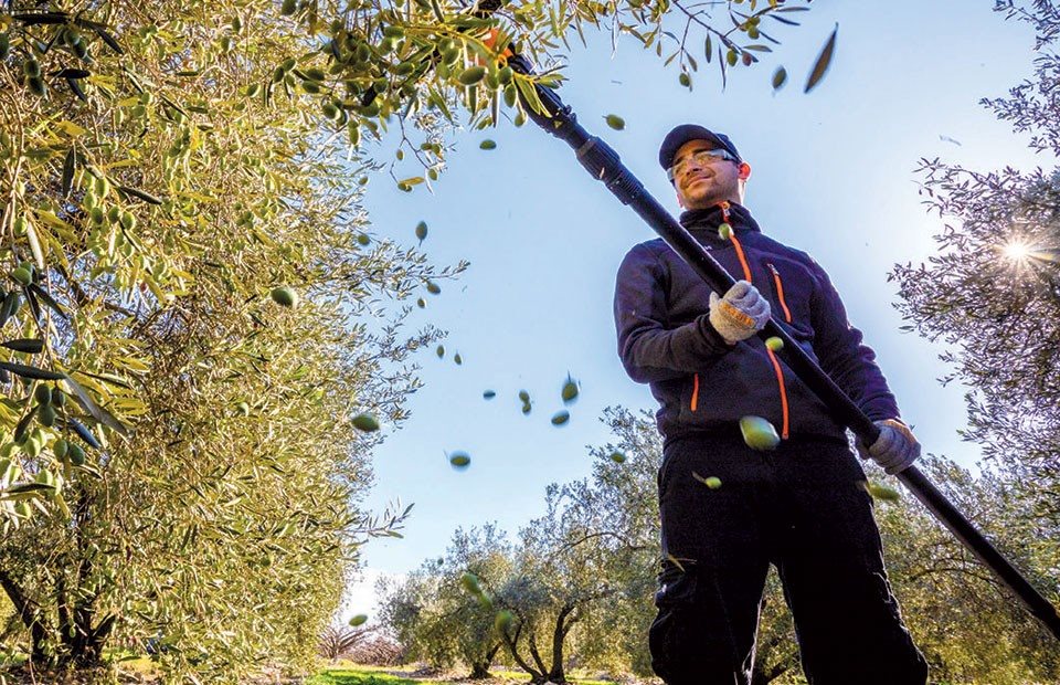 Παράταση ως 31 Μαρτίου για τις μετακλήσεις στους εργάτες γης