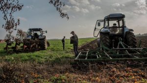 Απληρωσιές, χαμηλές τιμές, άνοδος σε λίπασμα, ίσον δύσκολες σπορές