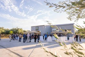 Ολοκληρώθηκε το πρόγραμμα «Ανοιχτή Ακαδημία Ελαιοκομίας στη Μεσσηνία» (βίντεο)