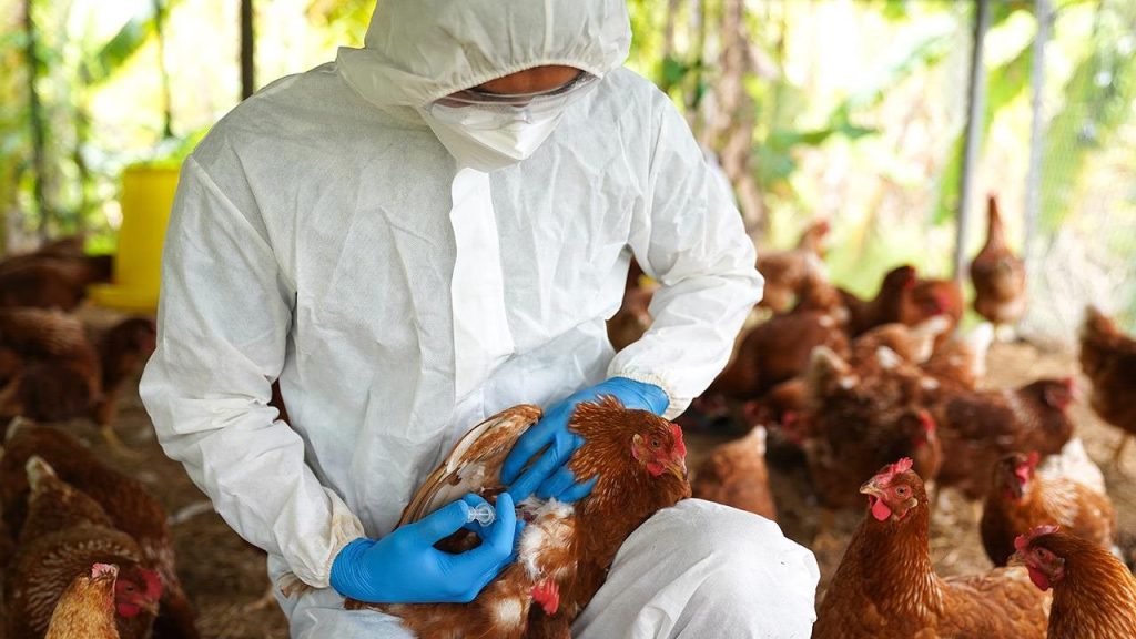 Προληπτικά μέτρα της Περιφέρειας Ηπείρου για την γρίπη των πτηνών