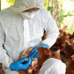 Προληπτικά μέτρα της Περιφέρειας Ηπείρου για την γρίπη των πτηνών