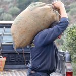 Μετά τις καθυστερήσεις σε πληρωμές έρχονται και τα πρόστιμα για μη τήρηση εργασιακών κανόνων στους αγρούς