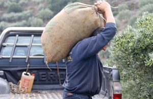 Μετά τις καθυστερήσεις σε πληρωμές έρχονται και τα πρόστιμα για μη τήρηση εργασιακών κανόνων στους αγρούς