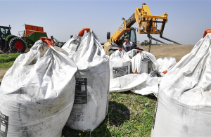 Η θρέψη των φυτών θεμέλιο βιώσιμης γεωργίας και επισιτιστικής ασφάλειας