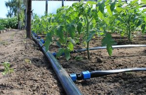 Σύσκεψη TOEB, AΣ Ιωαννίνων «Ένωση Αγροτών» για αποζημιώσεις παραγωγών Κρύας-Λαψίστας λόγω μη άρδευσης