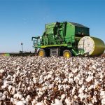 Άροση εδάφους σε βάθος 20-25 εκατ. συνιστάται για αντιμετώπιση πράσινου σκουληκιού σε βαμβακοκαλλιέργειες
