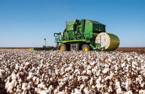 Άροση εδάφους σε βάθος 20-25 εκατ. συνιστάται για αντιμετώπιση πράσινου σκουληκιού  σε βαμβακοκαλλιέργειες