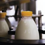 Ρεαλιστική βάση το 1,60 στο πρόβειο γάλα, θα λείψει ένα 15% της περσινής παραγωγής - Τυροκόμος
