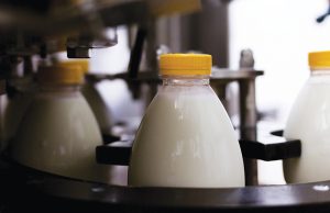 Ρεαλιστική βάση το 1,60 στο πρόβειο γάλα, θα λείψει ένα 15% της περσινής παραγωγής - Τυροκόμος