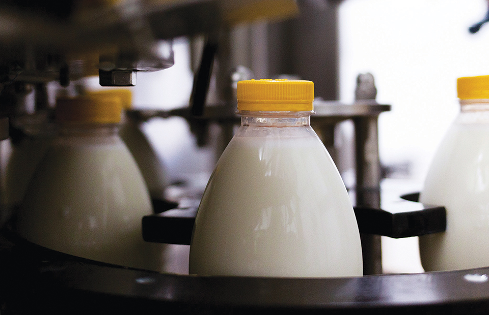 Ρεαλιστική βάση το 1,60 στο πρόβειο γάλα, θα λείψει ένα 15% της περσινής παραγωγής - Τυροκόμος