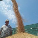 Τα 19 λεπτά για το ελληνικό σκληρό γεννούν αίτημα για έκτακτη στήριξη de minimis
