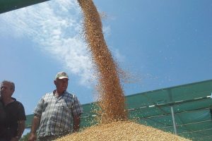 Τα 19 λεπτά για το ελληνικό σκληρό γεννούν αίτημα για έκτακτη στήριξη de minimis