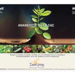 Σε κορυφαία τάση εποχής εξελίσσονται τα σταυρανθή, πρακτικός οδηγός φύτευσης - Fresher