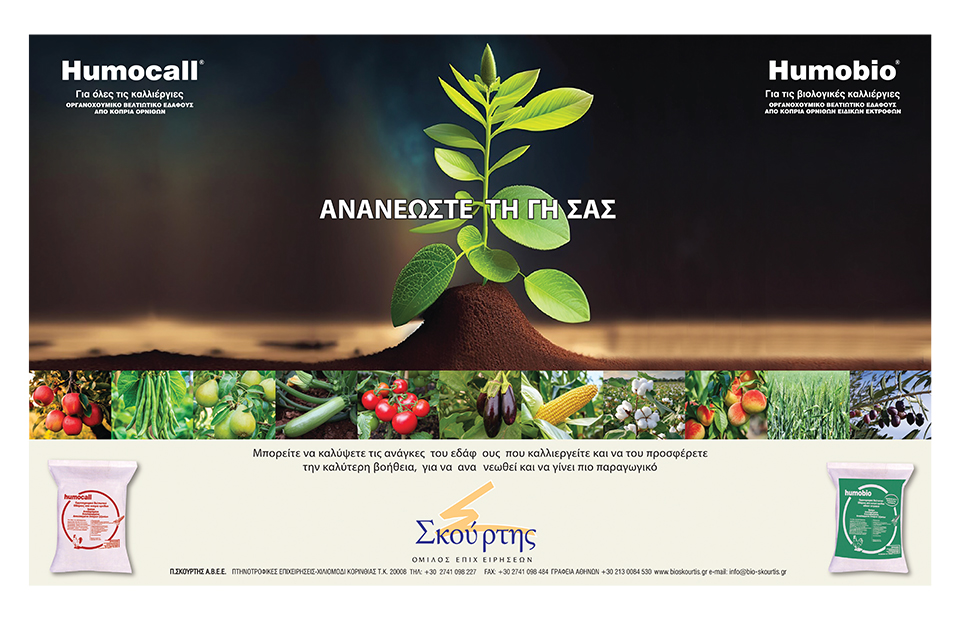 Σε κορυφαία τάση εποχής εξελίσσονται τα σταυρανθή, πρακτικός οδηγός φύτευσης - Fresher