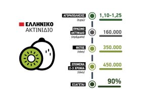 Σερί ανόδου για το ακτινίδιο που αυξάνει εκτάσεις, από 1,10 ως 1,25 ευρώ οι τιμές - Fresher