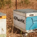 Το μέλι της ελληνικής φύσης στην καλύτερη έκφρασή του παράγει η Asimakopoulos Bee Products