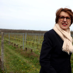 Στήριξη 10 εκατ. ευρώ για αναδιάρθρωση των συνεταιριστικών οινοποιείων της Γαλλίας - Winetrails