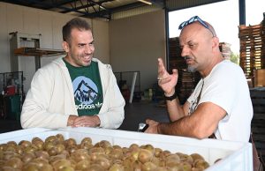 Με ειδική θρέψη χτίζεται το premium brand στο ακτινίδιο - Fresher