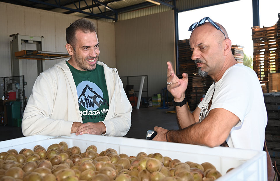 Με ειδική θρέψη χτίζεται το premium brand στο ακτινίδιο - Fresher