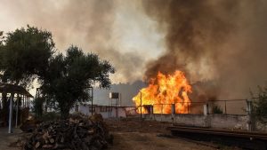 Δηλώσεις απαλλαγής ΕΝΦΙΑ για τις πυρκαγιές 2025 μέσω myAADE