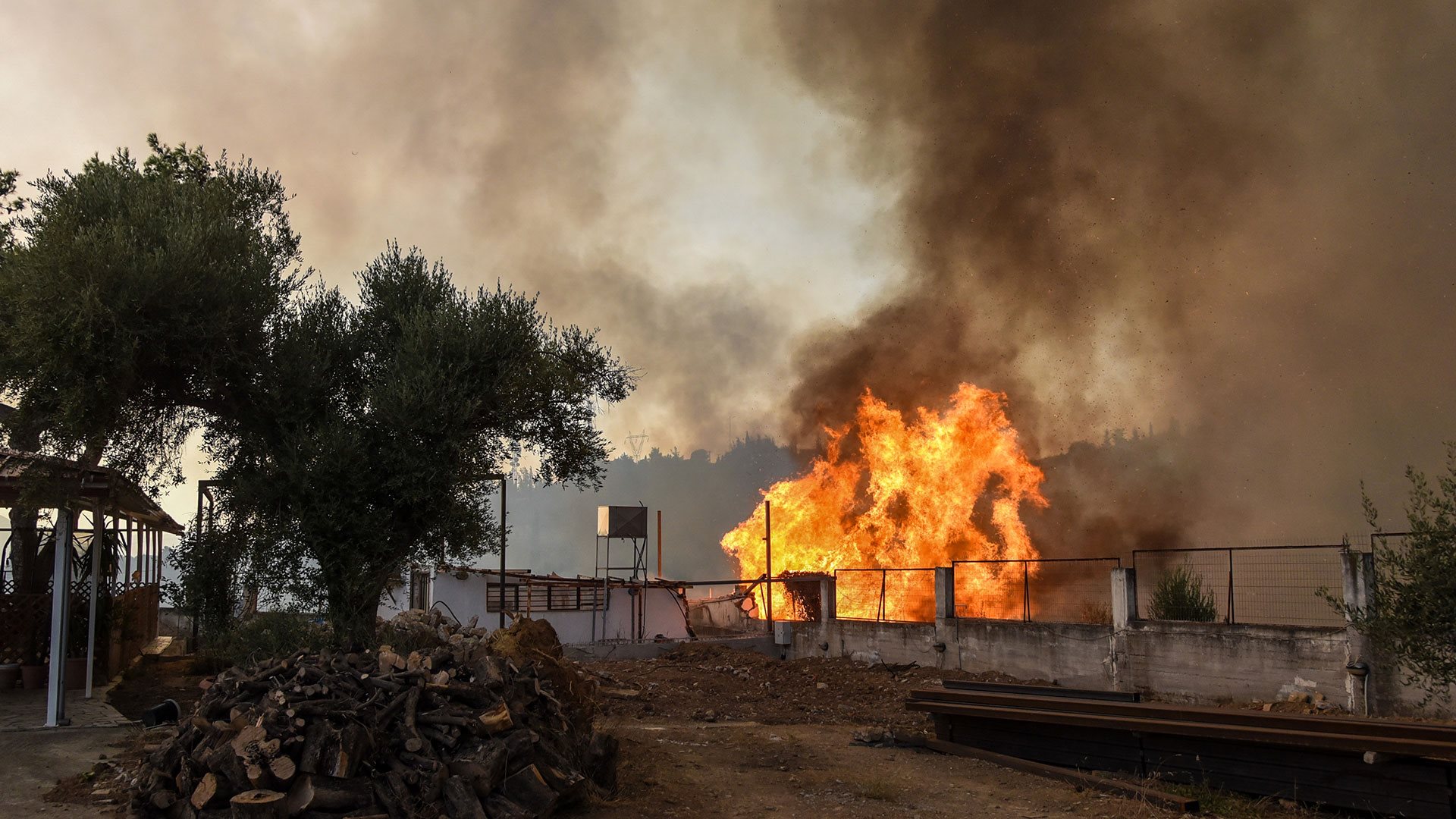 Δηλώσεις απαλλαγής ΕΝΦΙΑ για τις πυρκαγιές 2025 μέσω myAADE