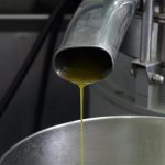 Διπλασιάζεται η παραγωγή ελαιολάδου του Μαρόκο