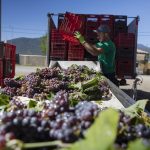 Η δικαίωση του Καμπά έρχεται 100 χρόνια μετά στις πλαγιές της Μαντινείας - Winetrails